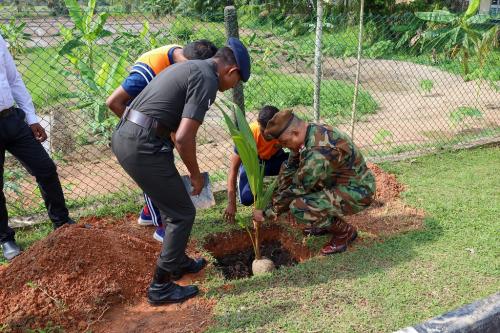 Coconut Sapling Planting Programme_2025_06