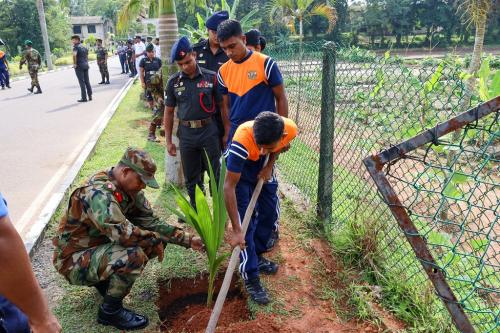 Coconut Sapling Planting Programme_2025_07