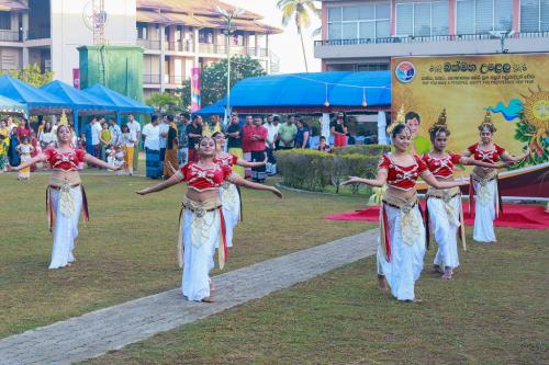 New Year Festival_2026_10