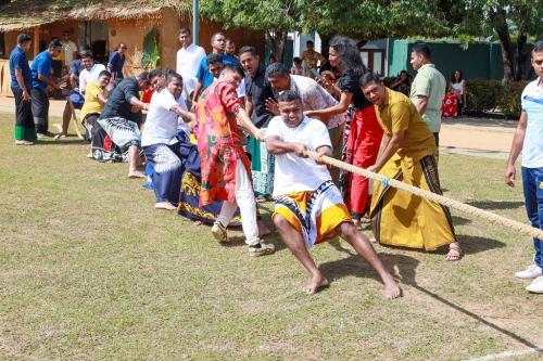 New Year Festival_2026_24